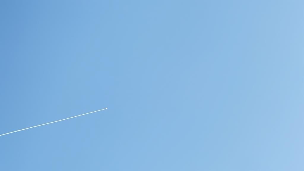 WhatsApp Image 2023-10-24 at 17.05.14.jpeg